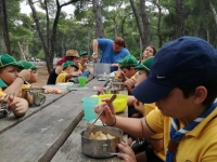 18987334_10209497866698882_784631559_o