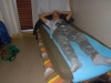 DSCN6660