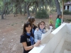DSCN6685