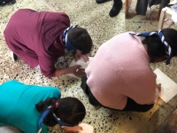 46446981_259955838209493_959870352513564672_n