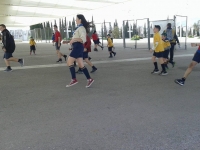 17430862_10210089305526785_263698510_o